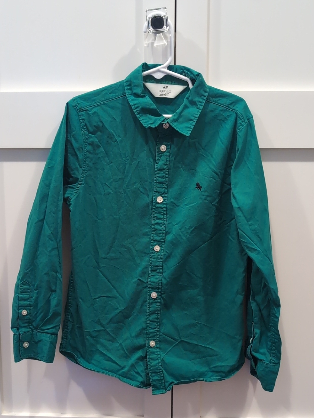 H&M Green Long-Sleeve Button-Down Shirt